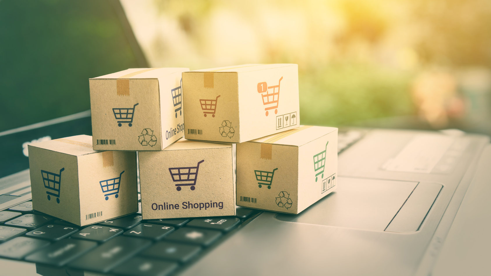 Online shopping / ecommerce and delivery service concept